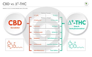 CBD vs Ã¢Ëâ 9-THC, Cannabichromene vs Delta 9 Tetrahydrocannabinol business infographic photo